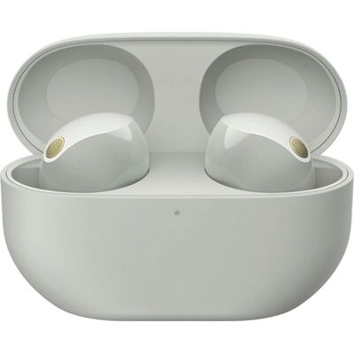 Наушники Sony WF-1000XM5, Цвет: Silver