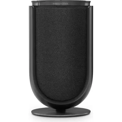 Колонки B&O Beolab 8, Цвет: Black/Dark Oak