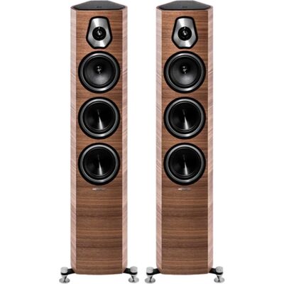 Напольная акустика Sonus Faber Sonetto III, Цвет: Wood