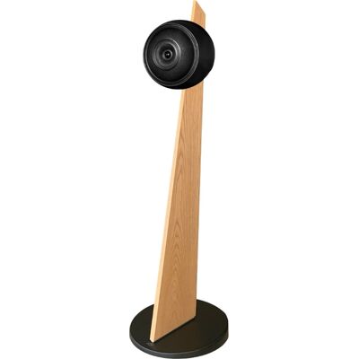 Полочная акустика Cabasse BALTIC 5 Stand Version, Цвет: Wood/Black