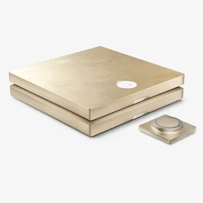 Усилитель Devialet Astra Opéra de Paris, Комплект: Stereo
