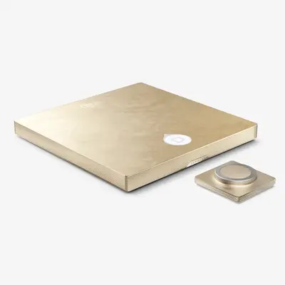 Усилитель Devialet Astra Opéra de Paris, Комплект: Mono