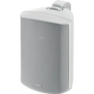 Настенная акустика Focal 100 OD6 - T, Цвет: White