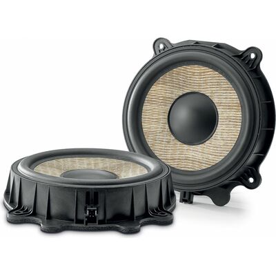 Низкочастотные динамики Focal IW T3Y 200