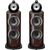 Напольная акустика B&W 801 D4 Signature, Цвет: Burl Gloss