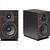 Полочная акустика Sonus Faber Lumina II, Цвет: Wenge