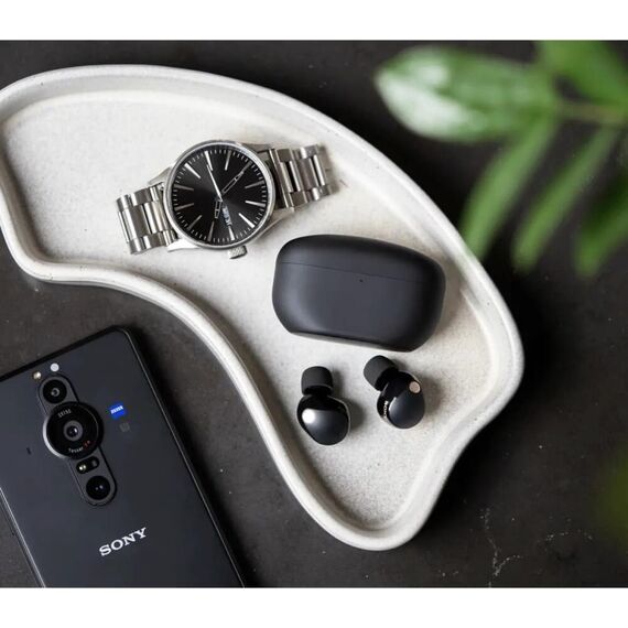 Наушники Sony WF-1000XM5 Black, Цвет: Black, изображение 6