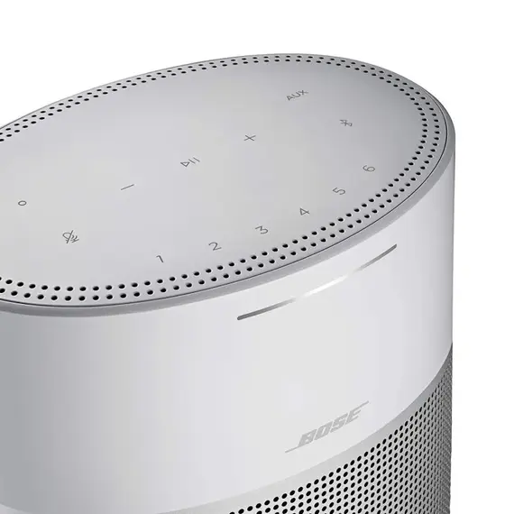 Колонка Bose Home Speaker 300 Lux Silver, изображение 7