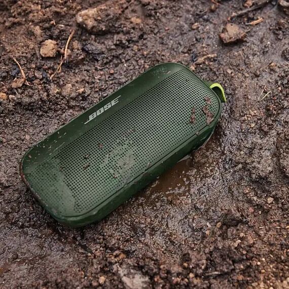 Колонка Bose SoundLink Flex Bluetooth Cypress Green, Цвет: Cypress Green, изображение 6
