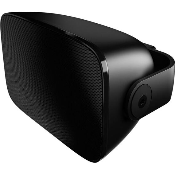 Всепогодная акустика Bowers & Wilkins AM-1 Black, Цвет: Black, изображение 2