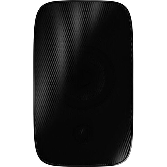 Всепогодная акустика Bowers & Wilkins AM-1 Black, Цвет: Black