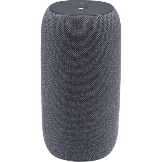 Портативная колонка JBL Link Portable Gray, Цвет: Gray, изображение 2