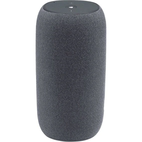 Портативная колонка JBL Link Portable Gray, Цвет: Gray, изображение 2