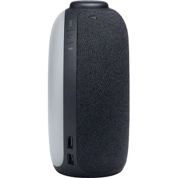 Портативная колонка JBL Horizon 2 Black, Цвет: Black, изображение 8