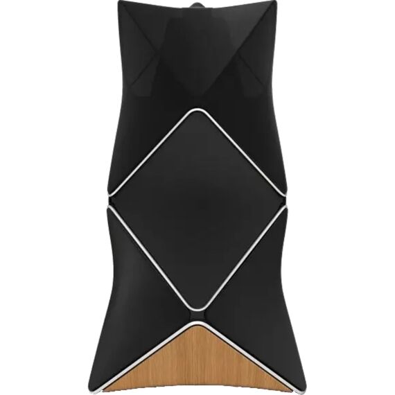 Акустическая система Bang & Olufsen BeoLab 90 Black, Цвет: Black, изображение 3