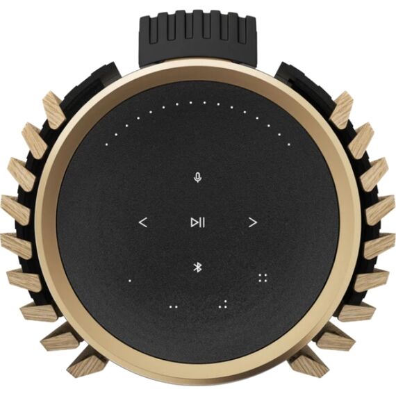 Стереоколонки B&O Beolab 28 Light Oak/Gold Tone, Цвет: Light Oak/Gold Tone, изображение 4