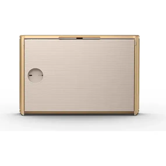 Колонка Bang & Olufsen Beosound Level Gold Tone, Цвет: Gold Tone, изображение 2
