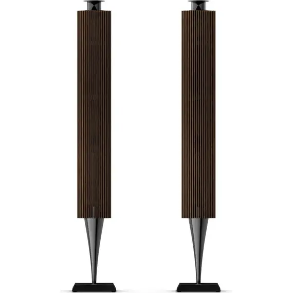 Акустическая система Bang & Olufsen Beolab 18 Anthracite, Цвет: Anthracite