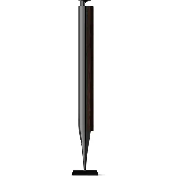 Акустическая система Bang & Olufsen Beolab 18 Anthracite, Цвет: Anthracite, изображение 2