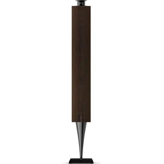 Акустическая система Bang & Olufsen Beolab 18 Anthracite, Цвет: Anthracite, изображение 5