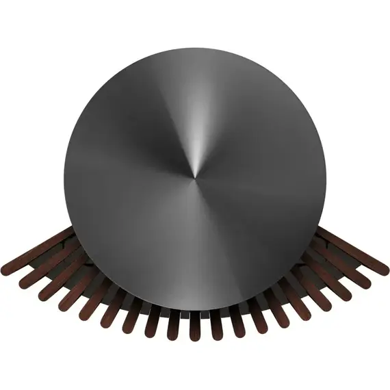 Акустическая система Bang & Olufsen Beolab 18 Anthracite, Цвет: Anthracite, изображение 6