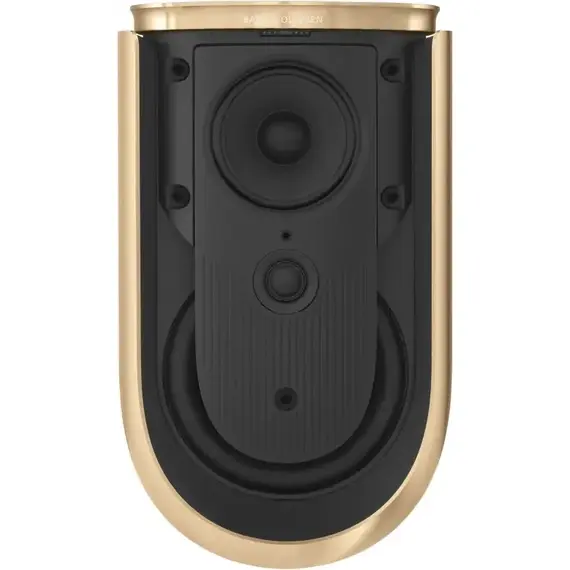 Колонки Bang & Olufsen Beolab 8 Gold Tone/Light Oak, Цвет: Gold Tone/Light Oak, изображение 3
