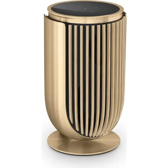 Колонки Bang & Olufsen Beolab 8 Gold Tone/Light Oak, Цвет: Gold Tone/Light Oak, изображение 2
