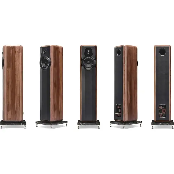 Напольная акустика Sonus Faber Maxima Amator, изображение 4