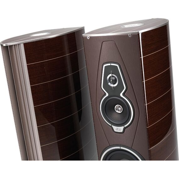 Напольная акустика Sonus Faber Amati Tradition, Цвет: Wenge, изображение 2