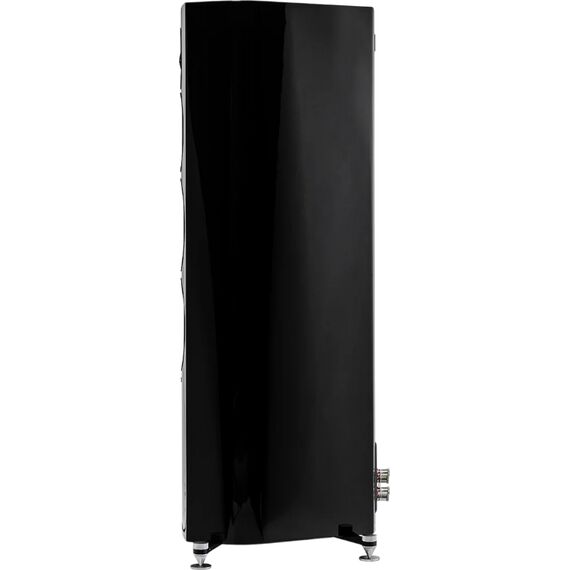 Напольная акустика Sonus Faber Sonetto V, Цвет: Black, изображение 3