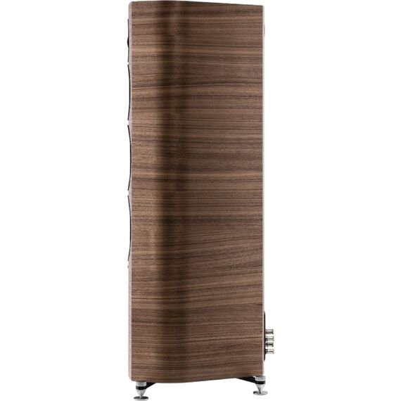 Напольная акустика Sonus Faber Sonetto V, Цвет: Wood, изображение 3