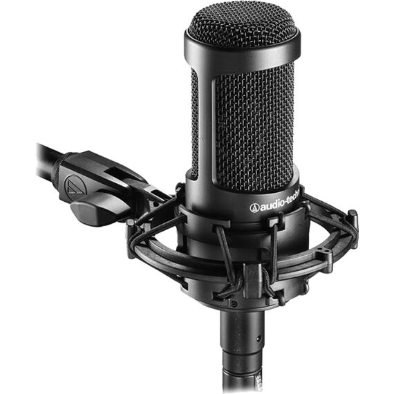 Микрофон студийный Audio-Technica AT2035, изображение 2