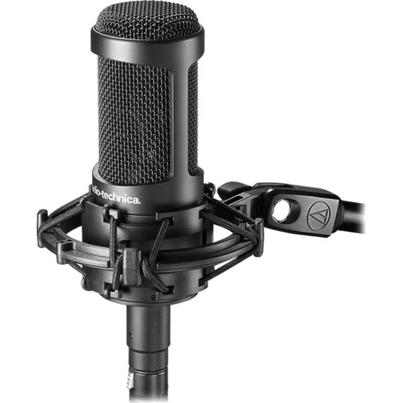 Микрофон студийный Audio-Technica AT2035, изображение 3