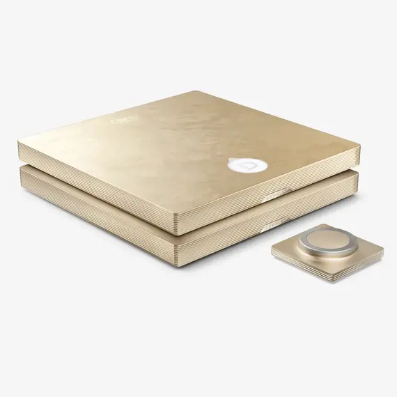 Усилитель Devialet Astra Opéra de Paris Stereo, Комплект: Stereo
