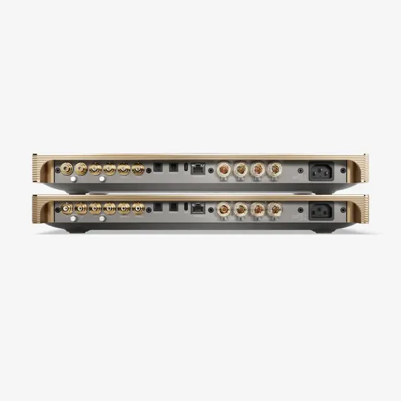 Усилитель Devialet Astra Opéra de Paris Stereo, Комплект: Stereo, изображение 6