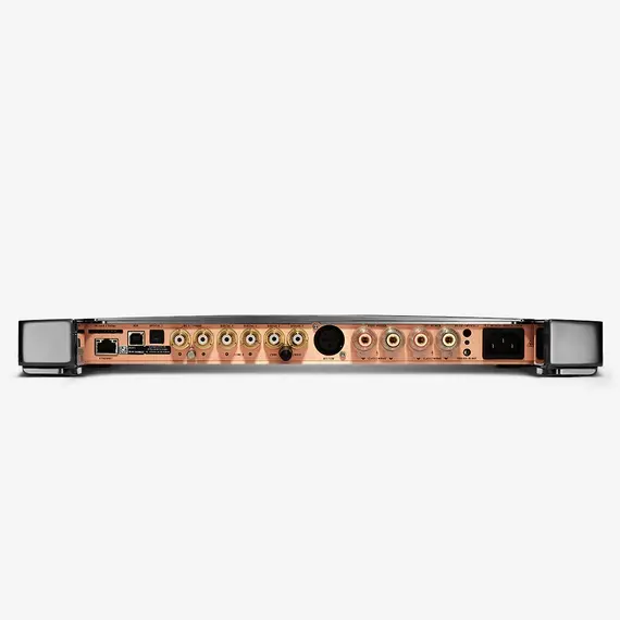 Усилитель Devialet Expert 250 Pro Mono, изображение 6