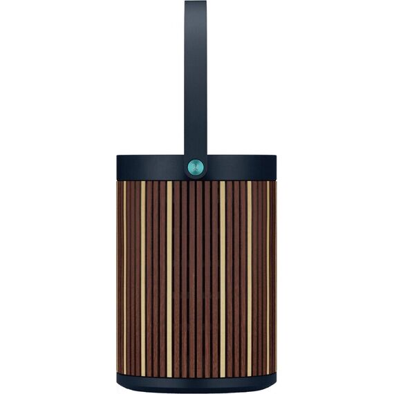 Колонка Bang & Olufsen Beosound A5 Riva, Цвет: Riva, изображение 3