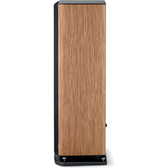 Напольная акустика Focal Aria Evo X N°3 Prime Walnut, Цвет: Prime Walnut, изображение 5