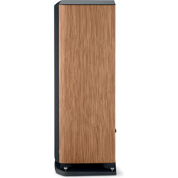 Напольная акустика Focal Aria Evo X N°4 Prime Walnut, Цвет: Prime Walnut, изображение 5