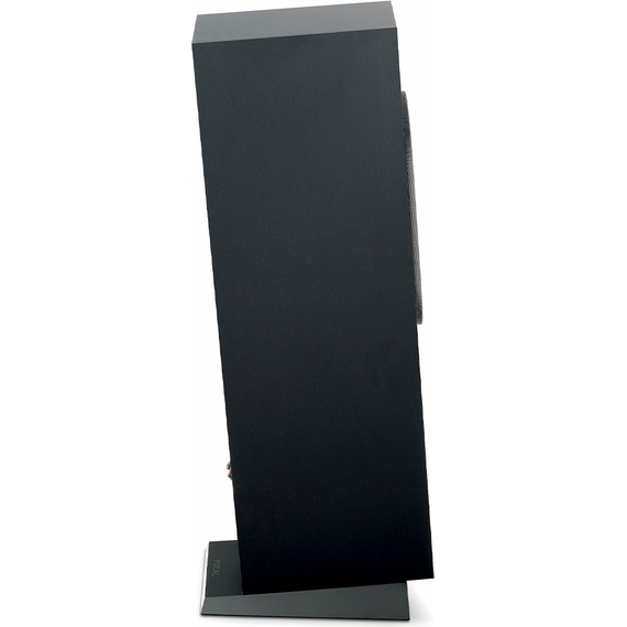 Напольные колонки Focal Chora 816 Black, Цвет: Black, изображение 6