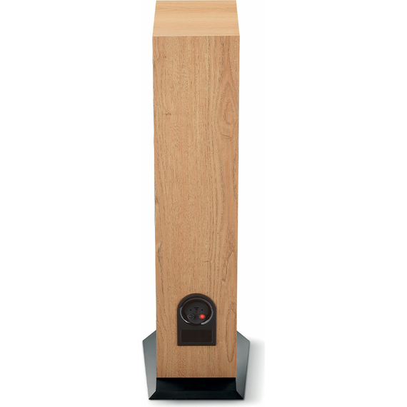 Напольные колонки Focal Chora 816 Light Wood, Цвет: Light Wood, изображение 6