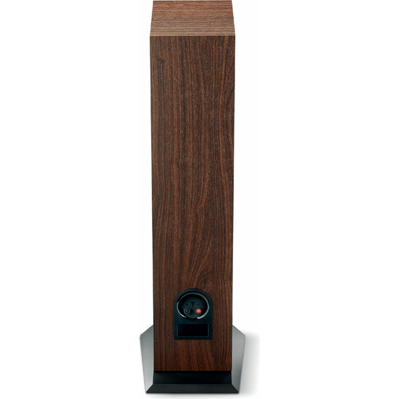 Напольные колонки Focal Chora 816 Dark Wood, Цвет: Dark Wood, изображение 5