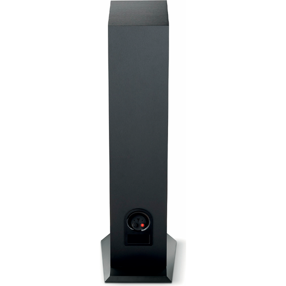 Напольные колонки Focal Chora 816 Black, Цвет: Black, изображение 5