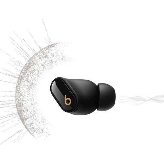 Беспроводные наушники Beats Studio Buds + Black/Gold, Цвет: Black/Gold, изображение 2