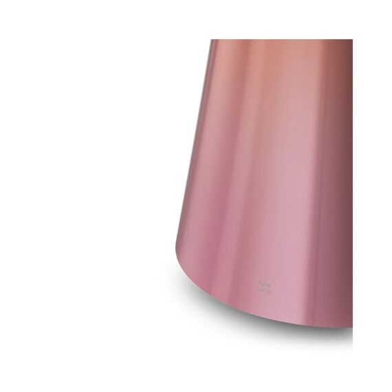 Колонка Bang & Olufsen Beosound 2 Gradient Pulse, Цвет: Pulse, изображение 3