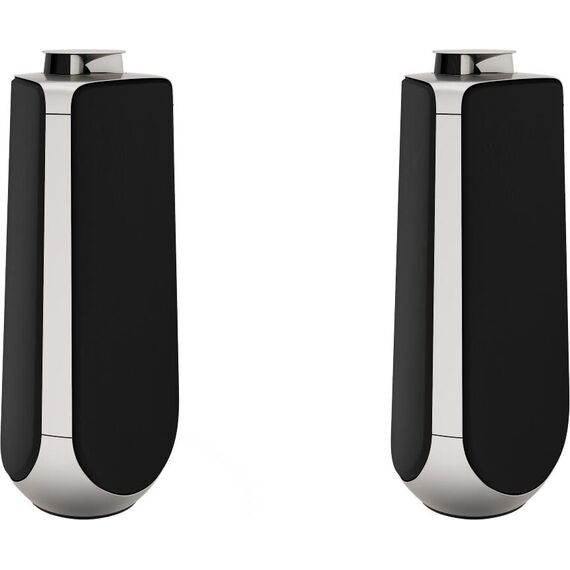 Акустическая система Bang & Olufsen Beolab 50 Natural, Цвет: Natural