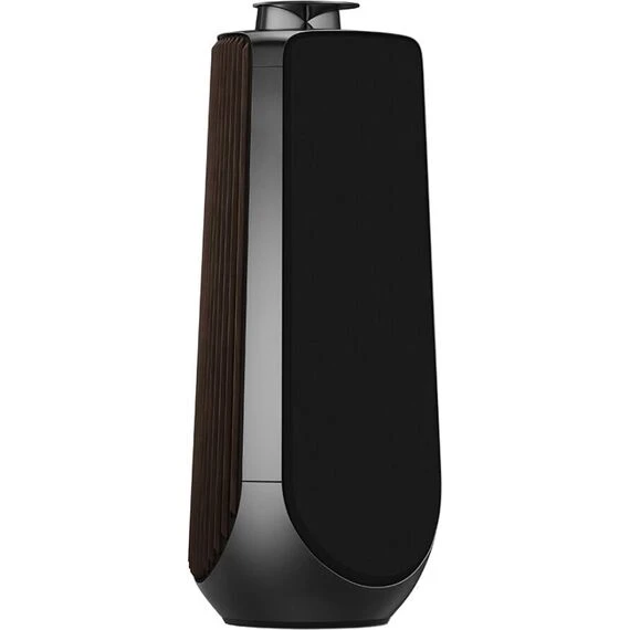 Акустическая система Bang & Olufsen Beolab 50 Anthracite, Цвет: Anthracite, изображение 3
