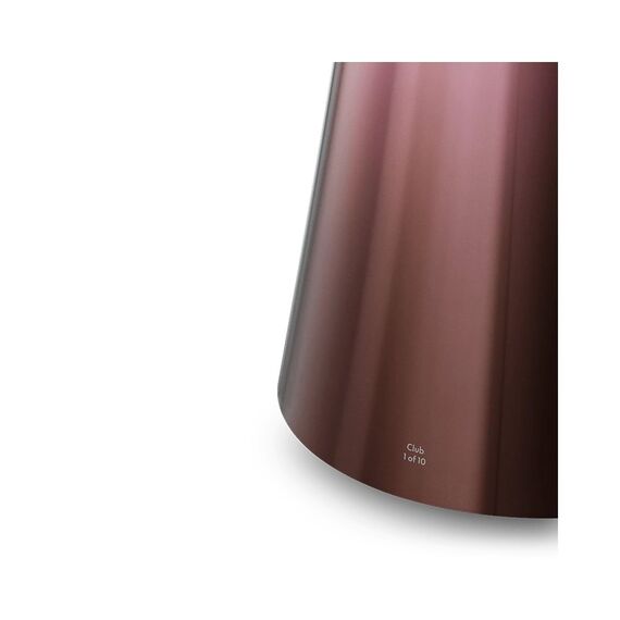 Колонка Bang & Olufsen Beosound 2 Gradient Club, Цвет: Club, изображение 3