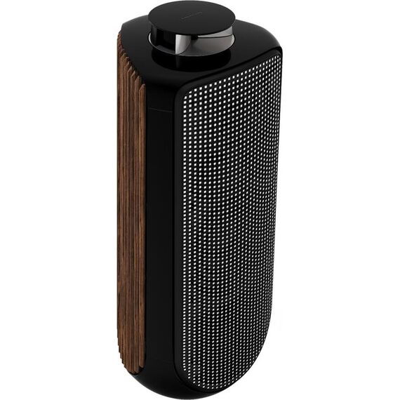 Акустическая система Bang & Olufsen Beolab 50 Piano Black, Цвет: Piano Black, изображение 3