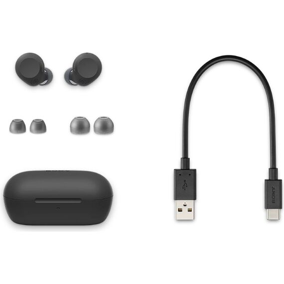 Беспроводные наушники с шумоподавлением Sony WF-C710N Black, Цвет: Black, изображение 4